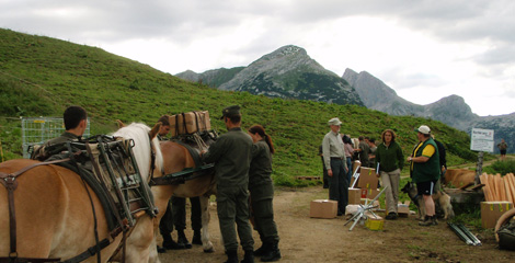 Almen aktivieren