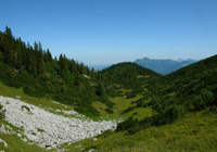 Haidenholzalm