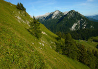 Kallbrunnalm/Kühkranz