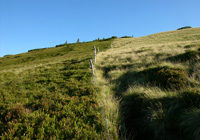 Roßalm