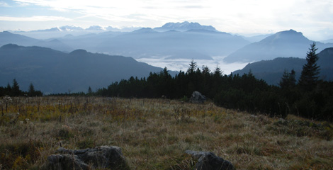 Almenvielfalt.com