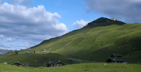 Almen aktivieren