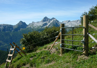 Beweidung und Landschaftsbild