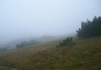 Nebel auf der Hochkienbergalm