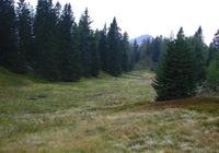 Blick über die Hochkienbergalm