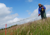 Kartierung und Monitoring