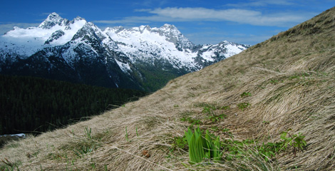 Almen aktivieren