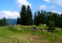 Tannbergalm im Winter